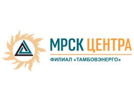 Тамбовские энергетики ОАО «МРСК Центра» эффективно реализуют программу по расчистке воздушных трасс
